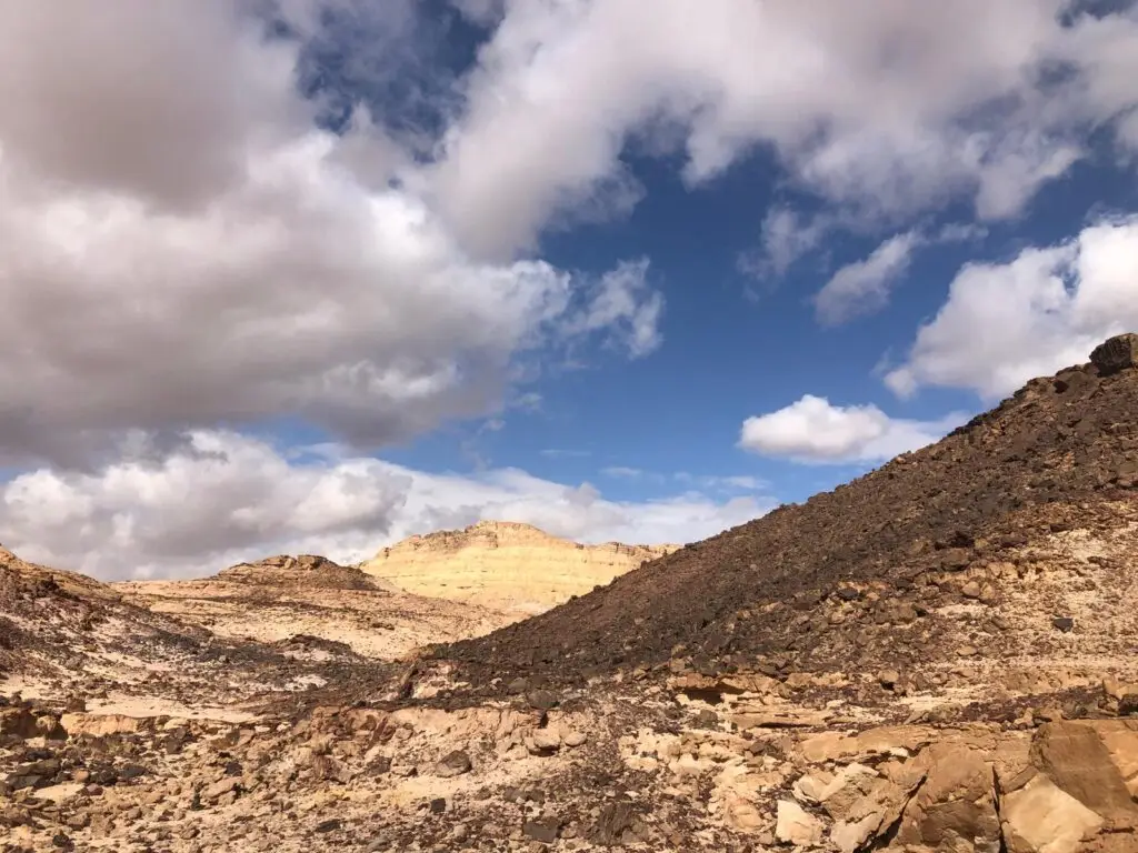 חוות האלפקות | ריטריטים וסדנאות בדרוםחווה במצפה רמון